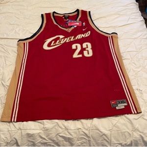 NBA James jersey